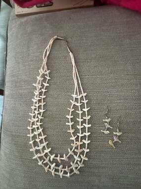 Native American Santo Domingo Carved Shell Bird Fetish Necklace